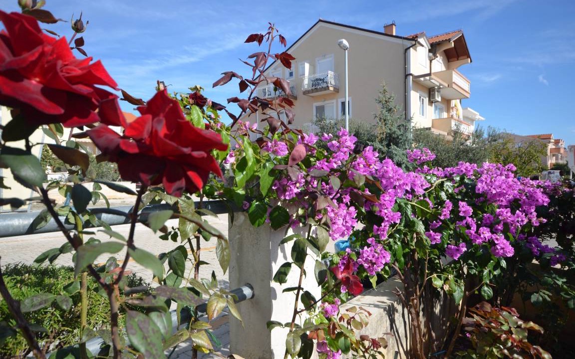 Photo of Others in Vodice