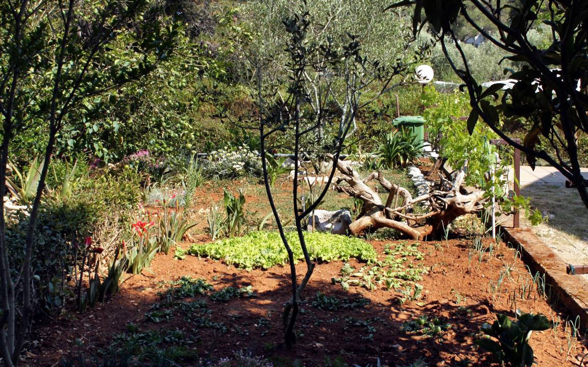 Photo of Others in Molat