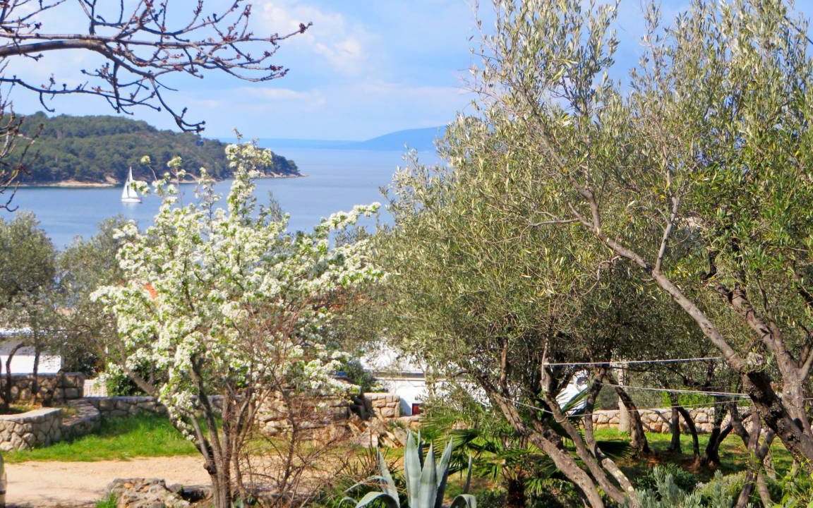Photo of Others in Cres