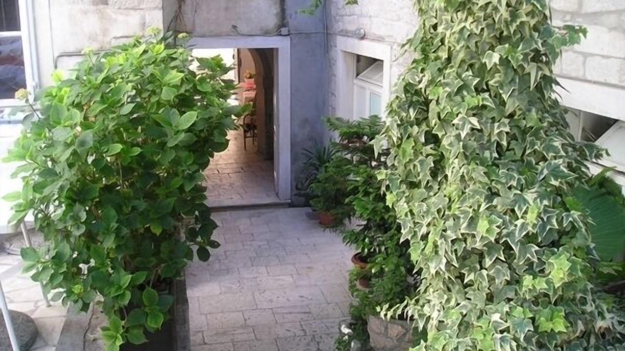 Photo of Outdoor in Trogir