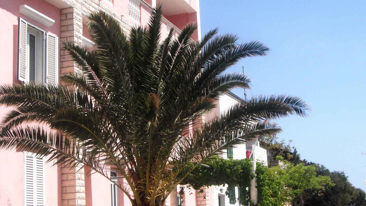 Photo of Outdoor in Island Dugi Otok