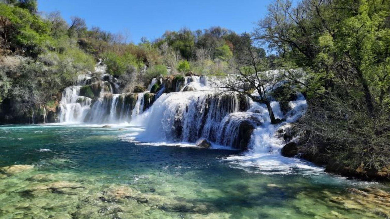 Photo of Others in Grebastica