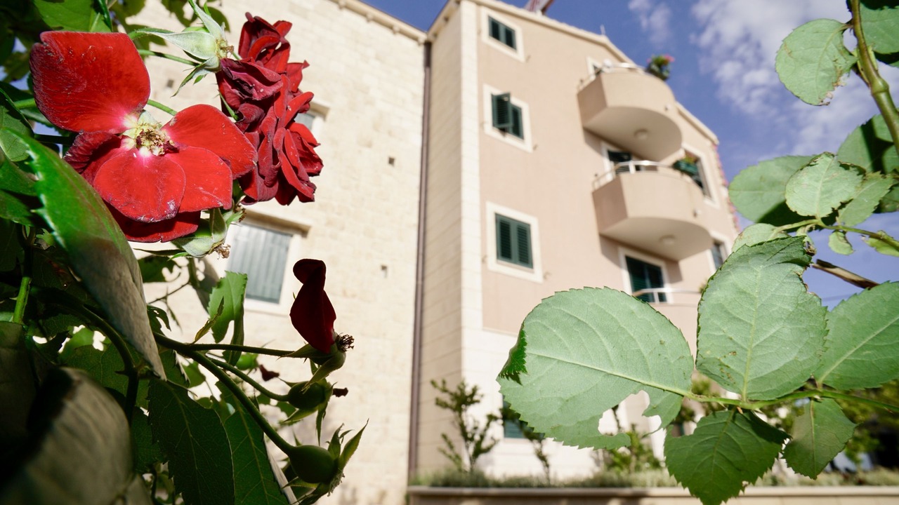 Photo of Outdoor in Seget Vranjica