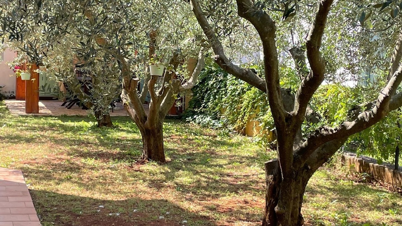 Photo of Outdoor in Novigrad