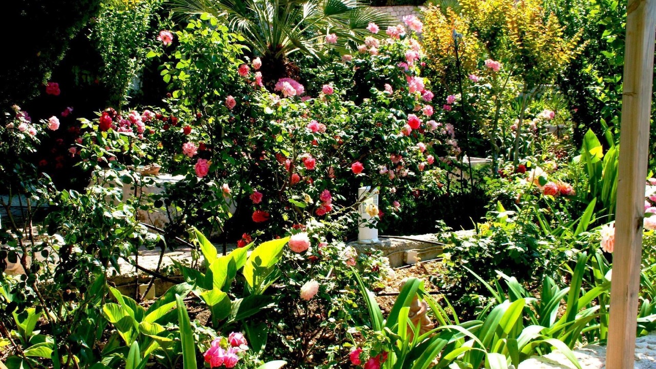 Photo of Outdoor in Drasnice