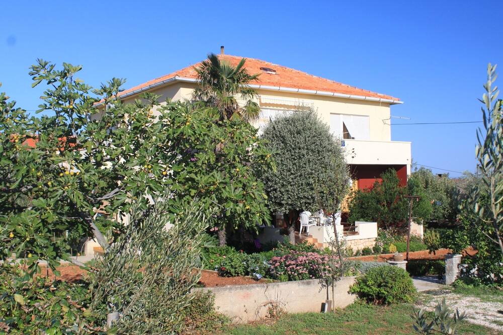 Photo of Outdoor in Batalaza