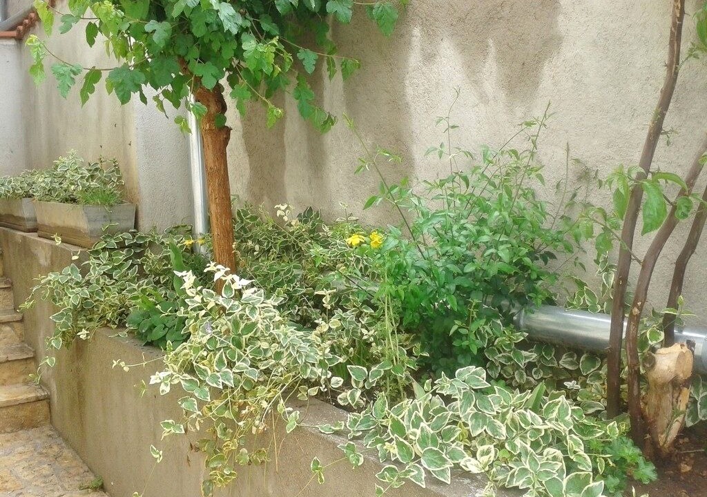Photo of Outdoor in Tijesno