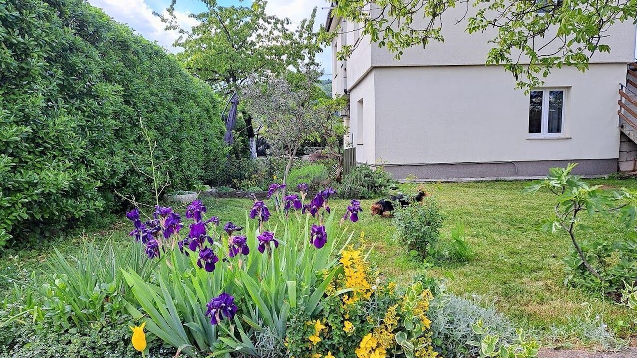 Photo of Outdoor in Sarsoni