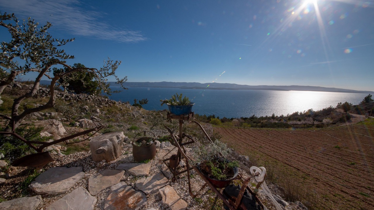 Photo of Outdoor in Bol
