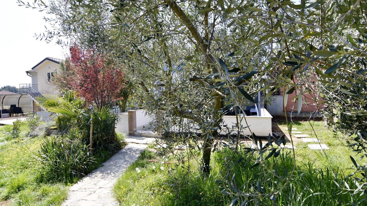 Photo of Outdoor in Savudrija
