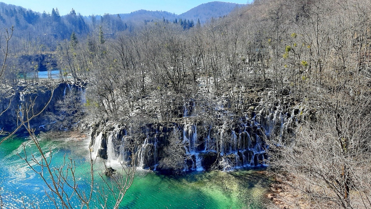 Photo of Others in Rakovica