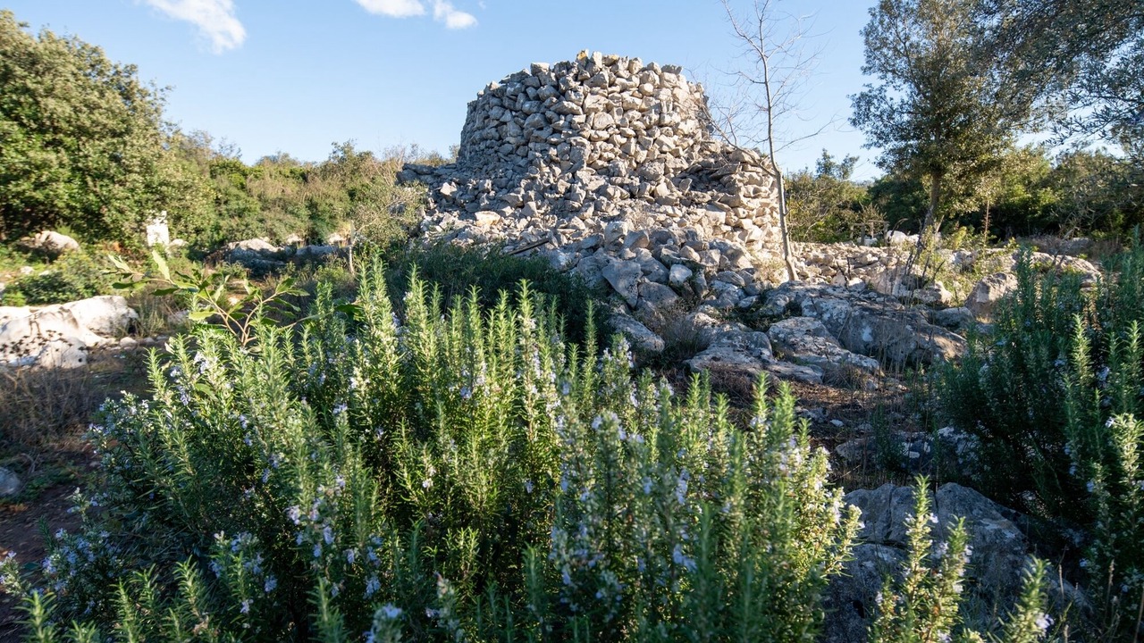 Photo of Outdoor in Susica