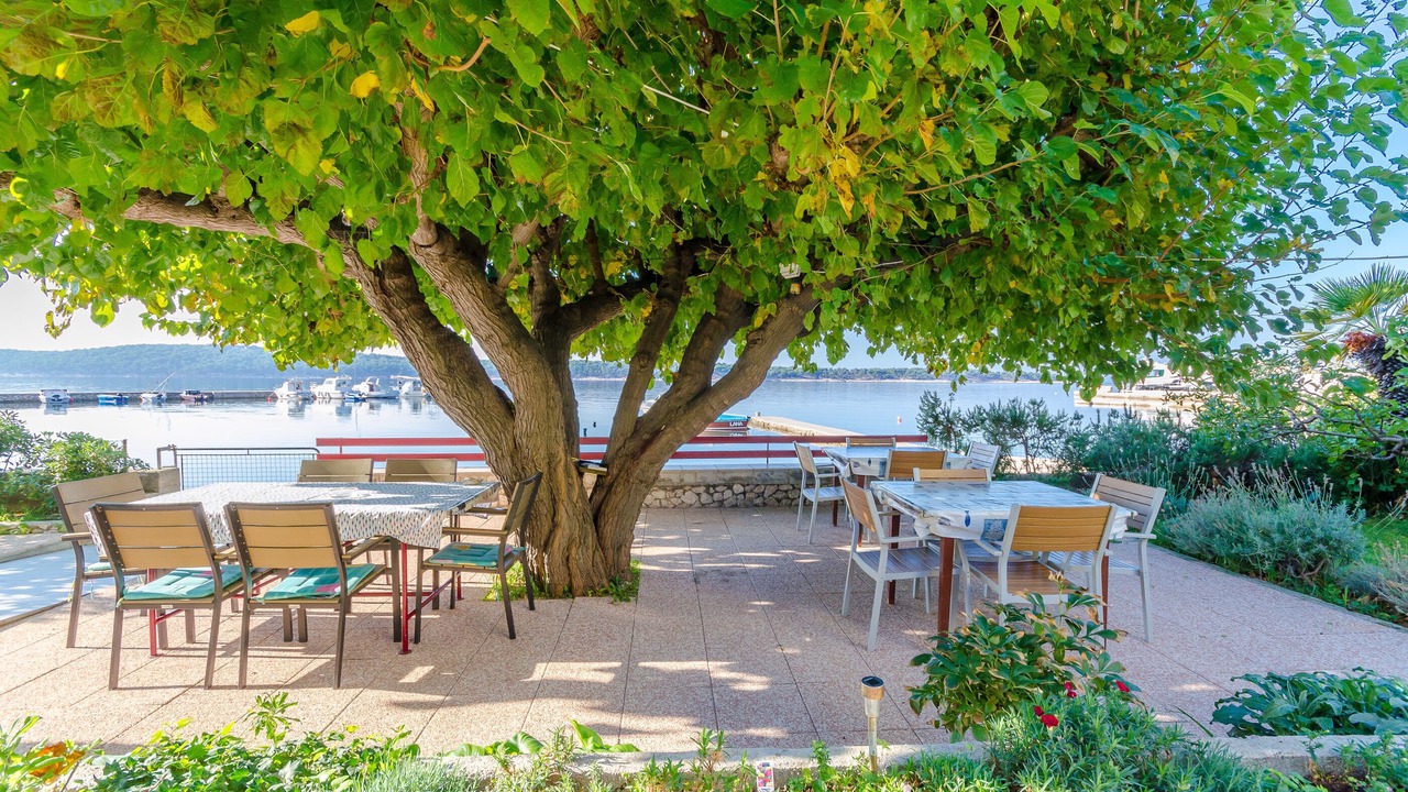Photo of Outdoor in Banjol