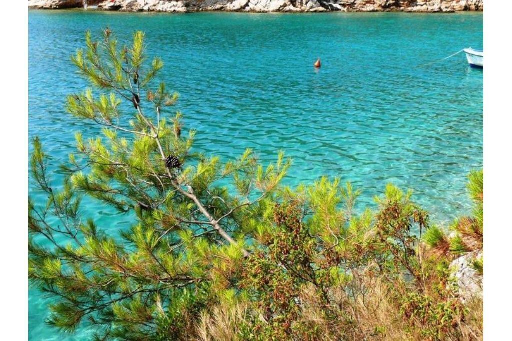 Photo of Others in Cove Osibova (Milna)