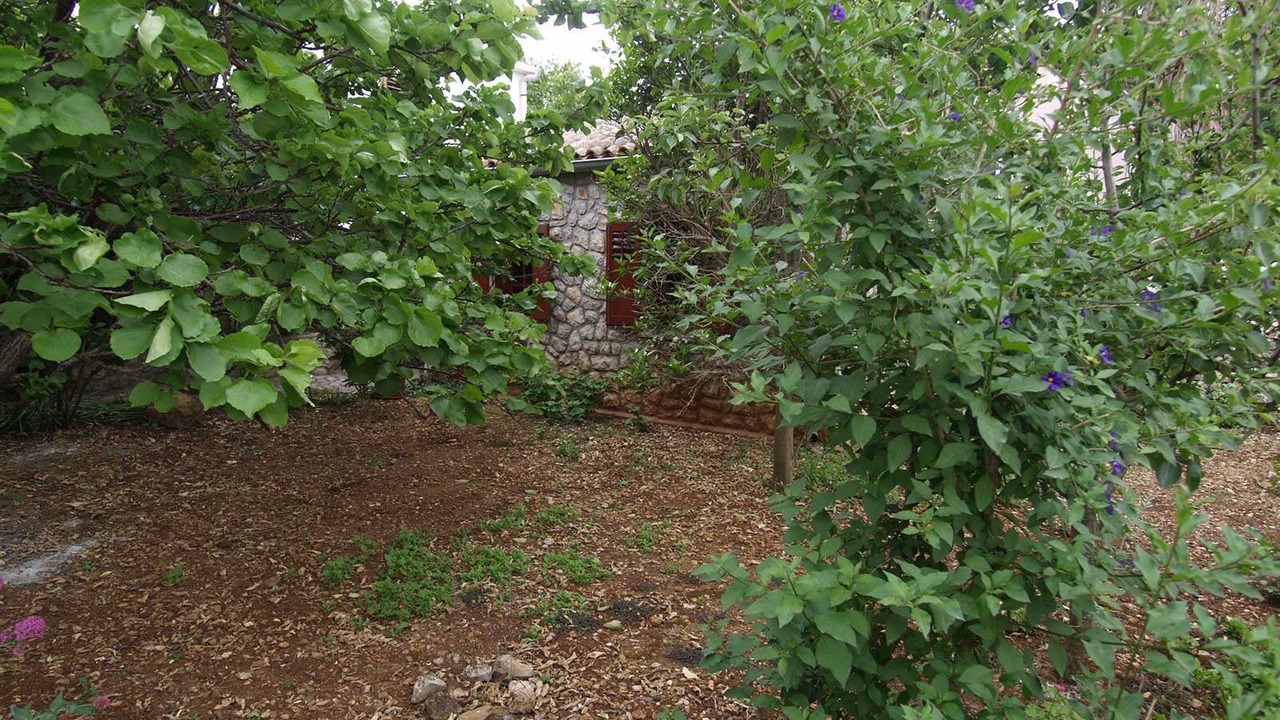 Photo of Outdoor in Veli Losinj