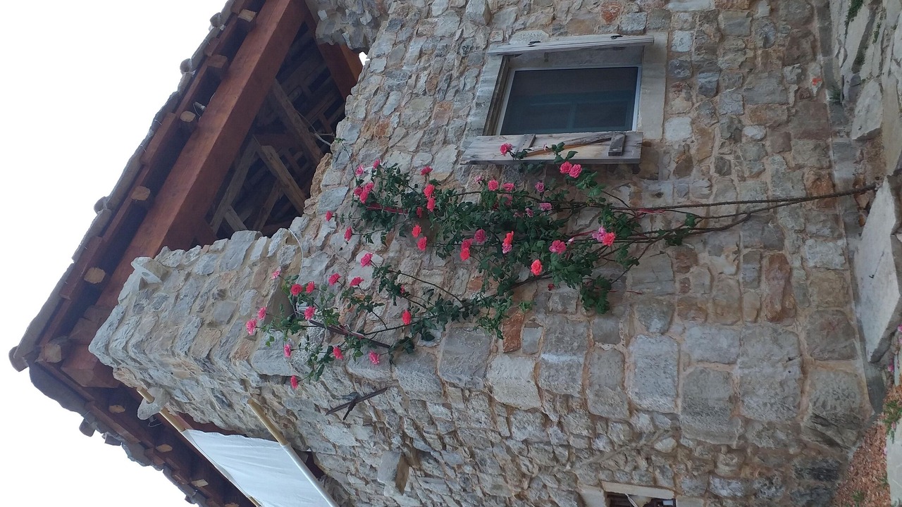 Photo of Outdoor in Trpanj