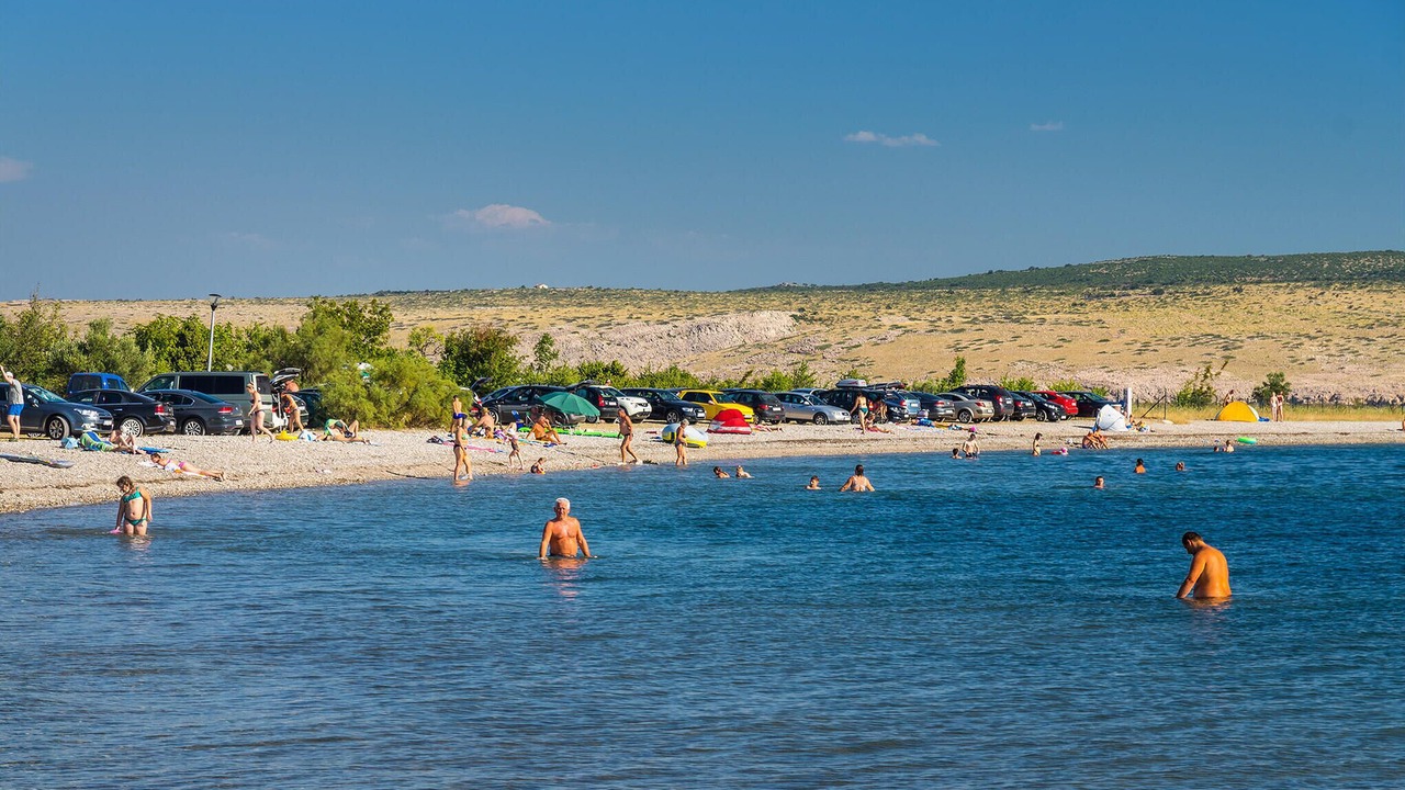 Photo of Others in Seline