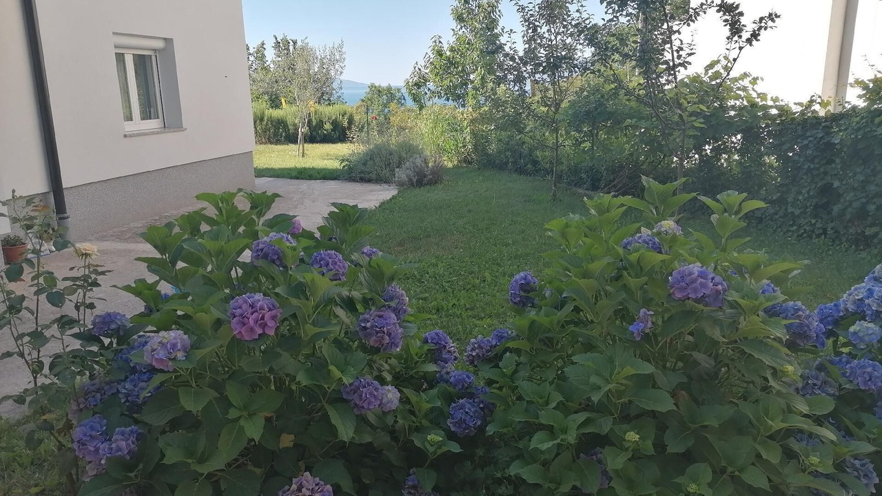 Photo of Outdoor in Rubesi