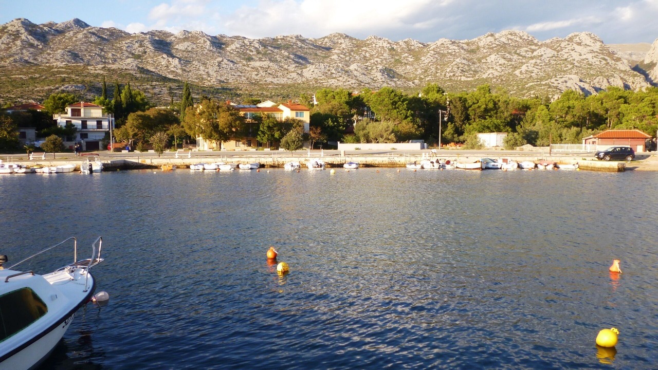 Photo of Others in Seline