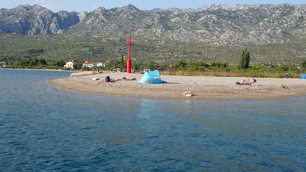 Photo of Others in Seline