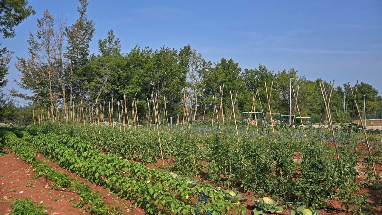 Photo of Outdoor in Korenici