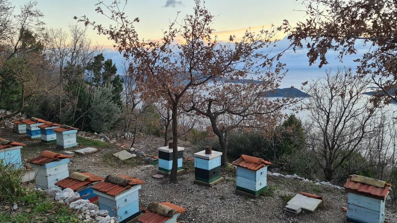 Photo of Others in Dubrovacko Primorje