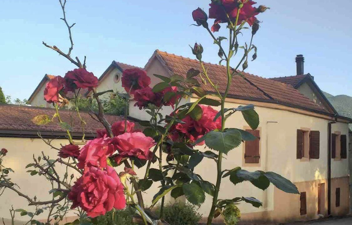Photo of Outdoor in Trn