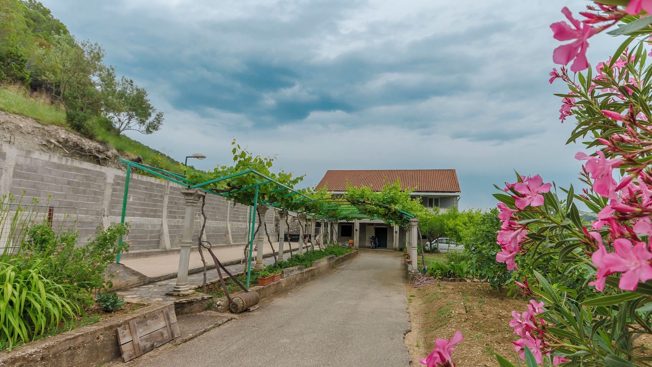 Photo of Outdoor in Skradin