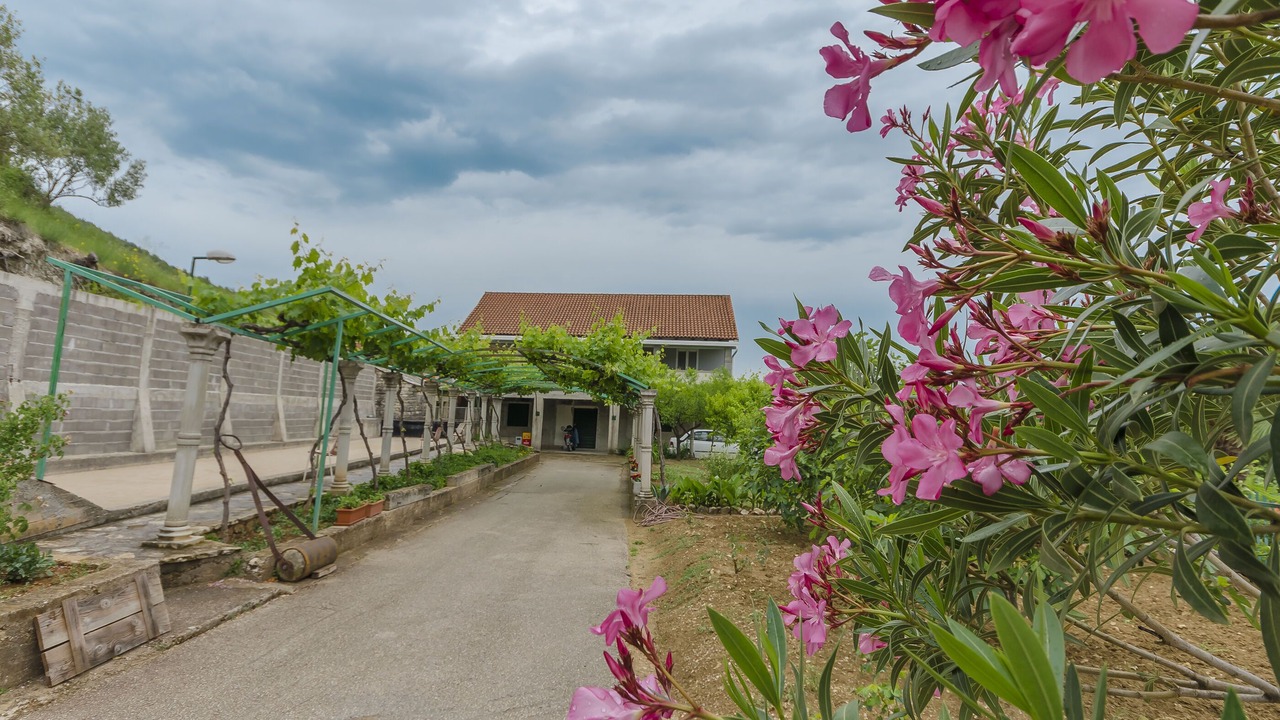 Photo of Outdoor in Skradin