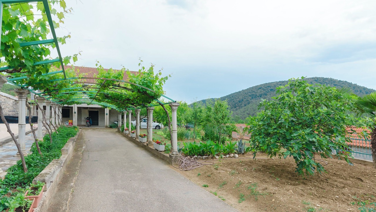 Photo of Outdoor in Skradin