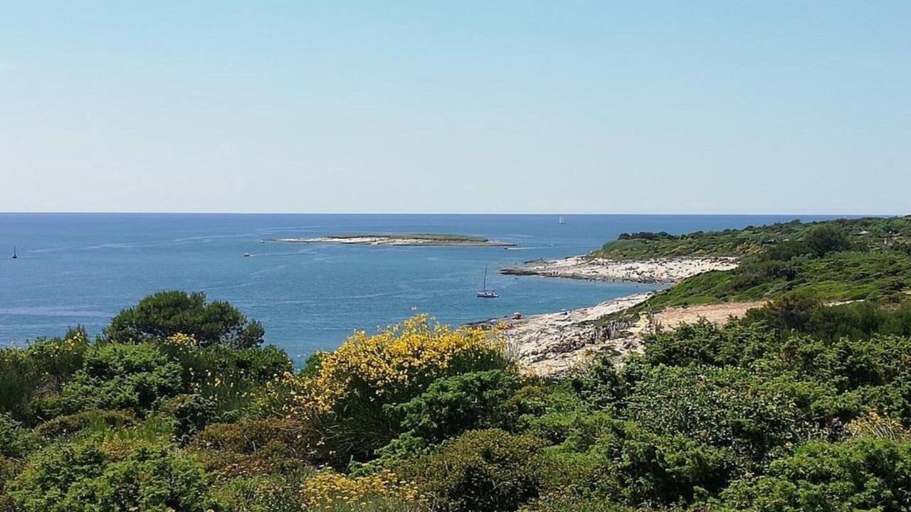 Photo of Others in Nova Vas