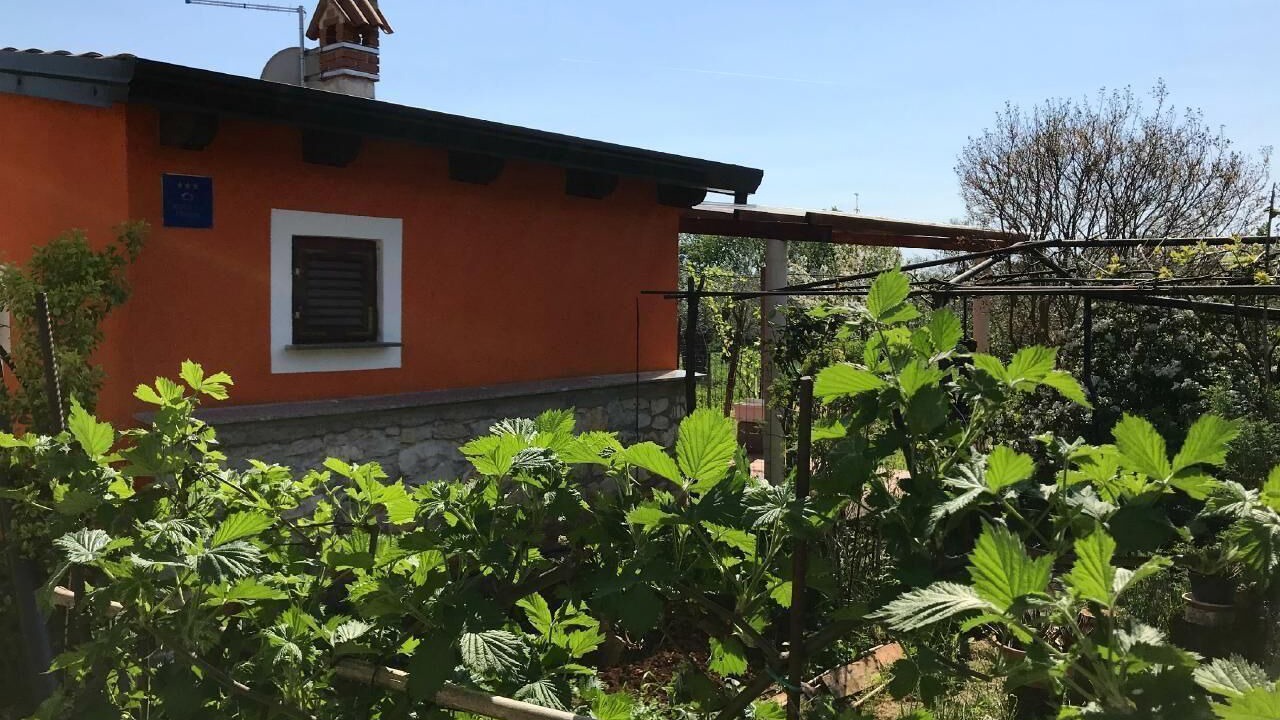 Photo of Outdoor in Babici