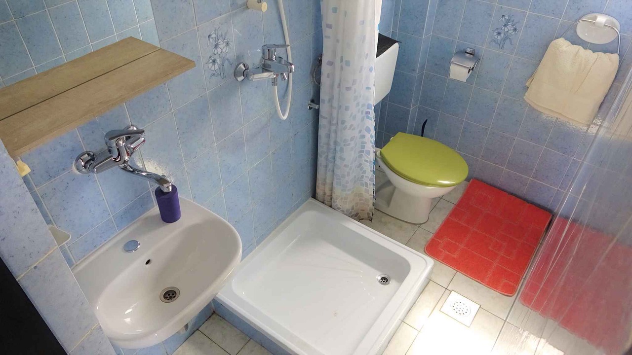 Photo of Bathroom in Ribarica