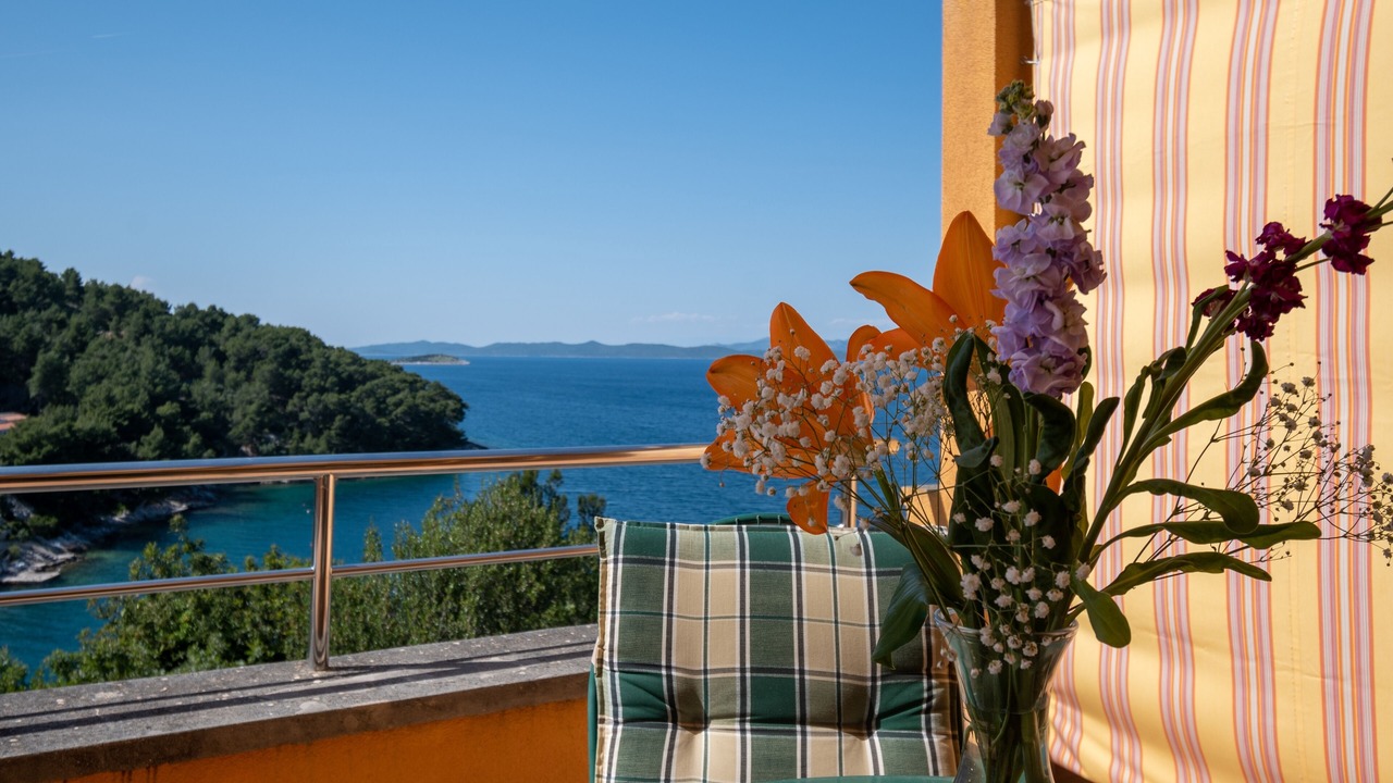 Photo of Others in Island Dugi Otok