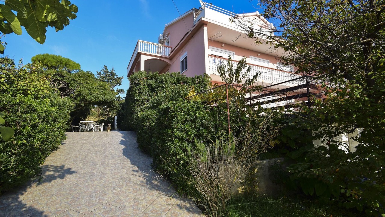 Photo of Outdoor in Vlasici