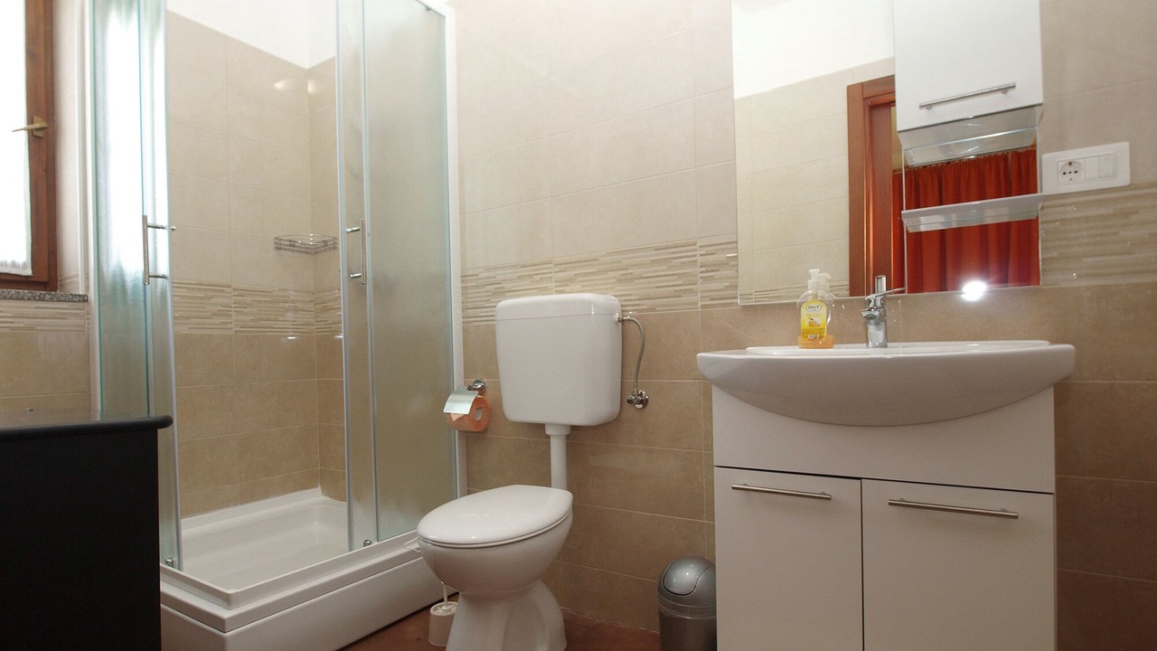 Photo of Bathroom in Pazin