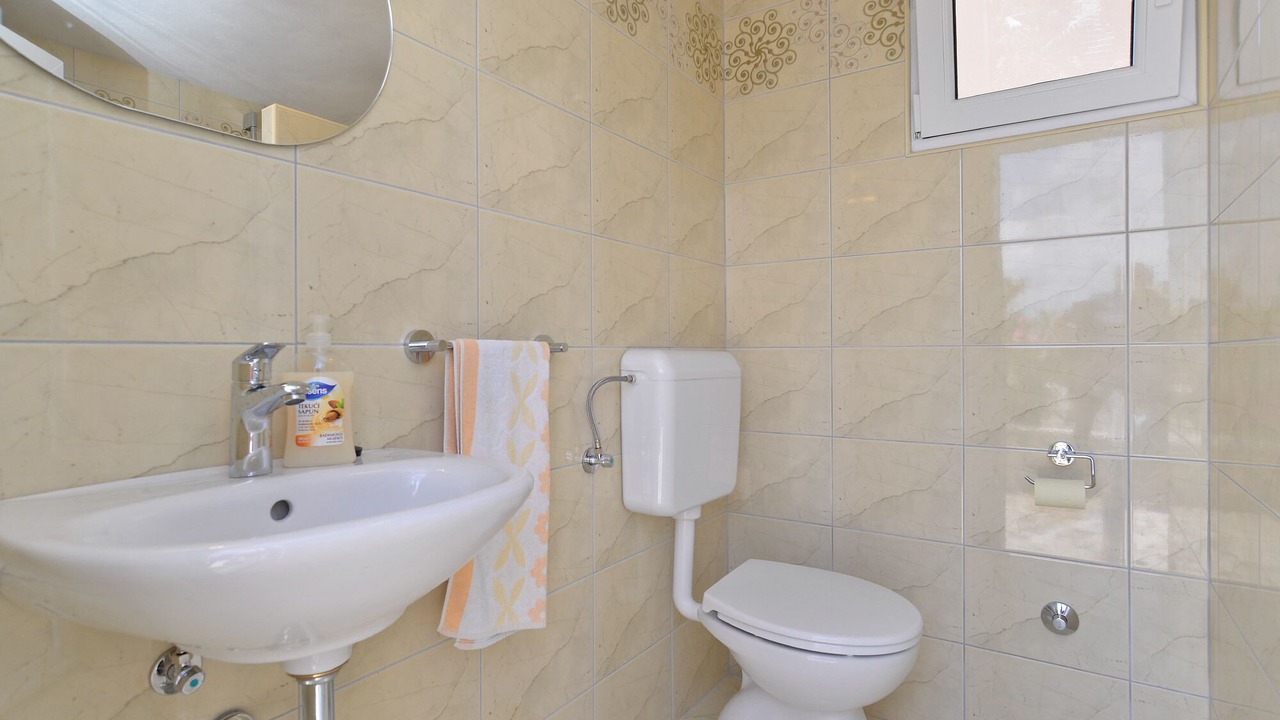 Photo of Bathroom in Valbandon