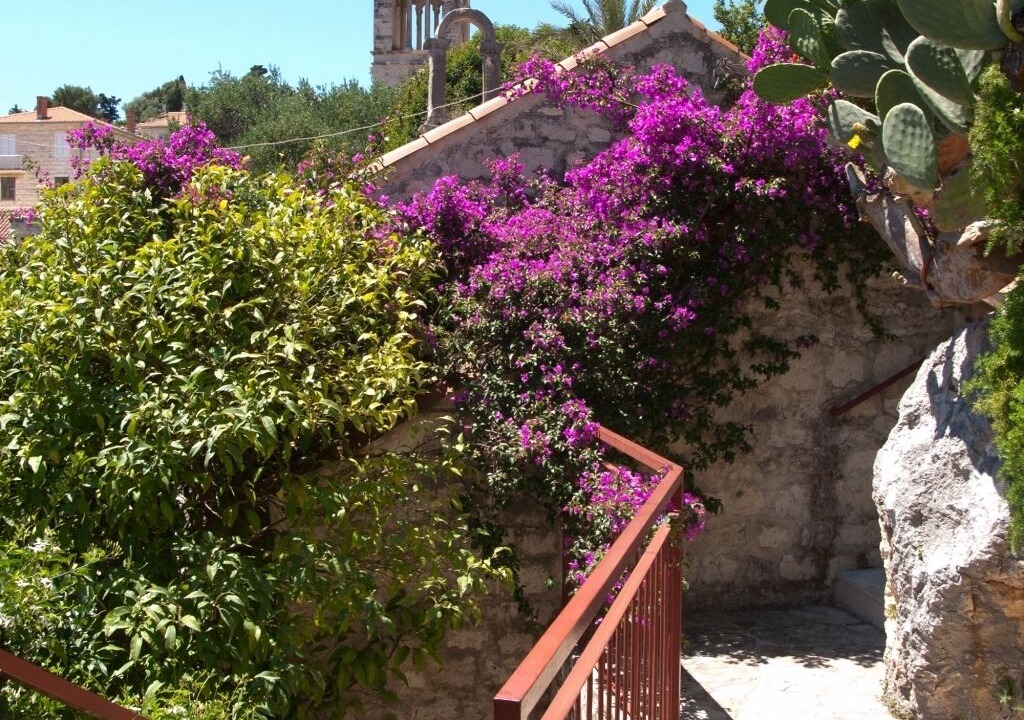 Photo of Outdoor in Hvar Old Town