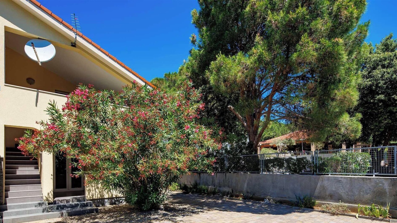 Photo of Outdoor in Simuni