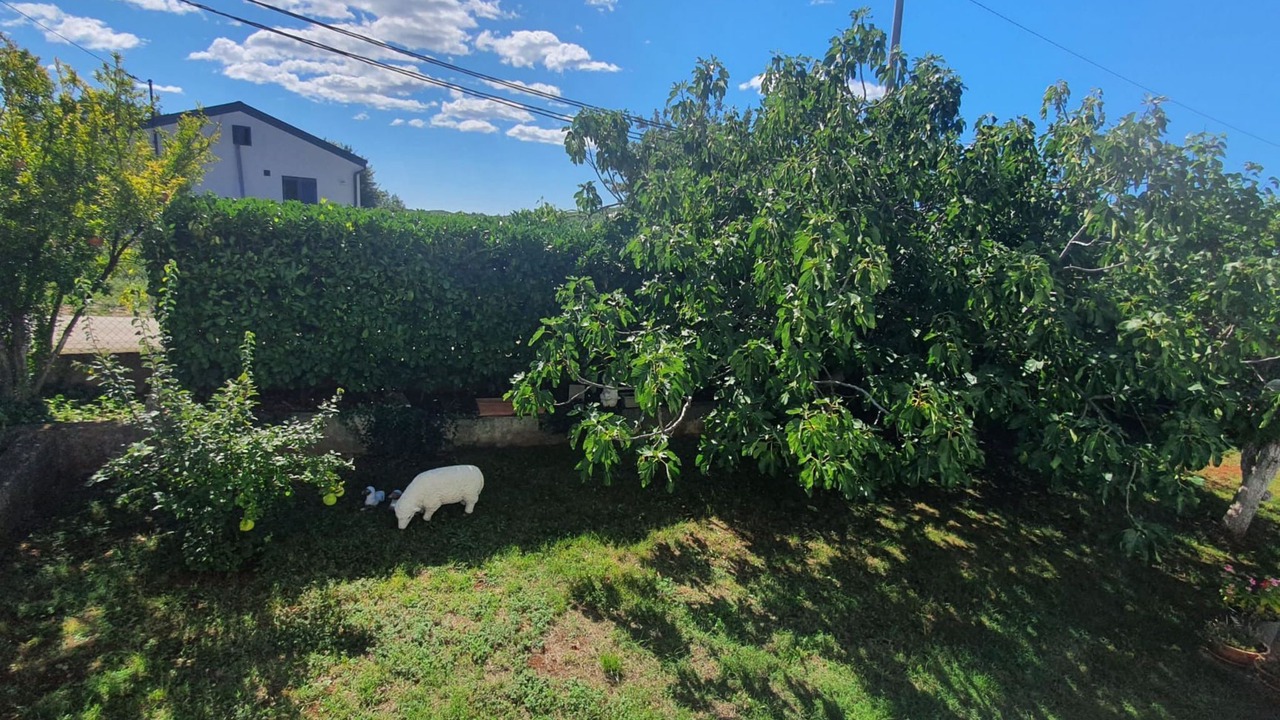 Photo of Outdoor in Jasenovica