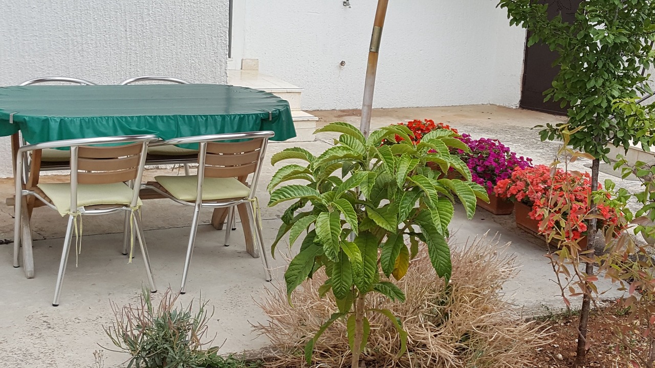 Photo of Outdoor in Jezera