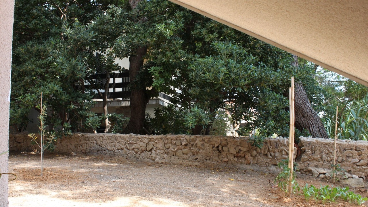 Photo of Others in Kustici