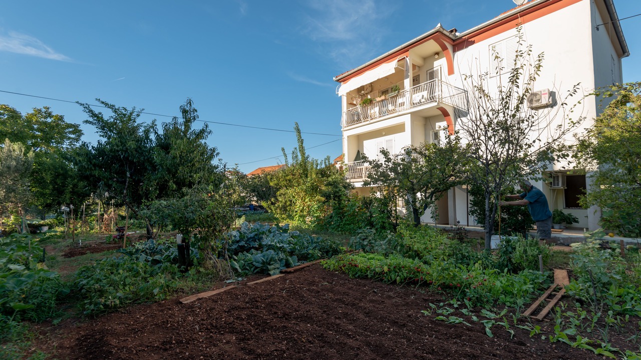 Photo of Outdoor in Zadar