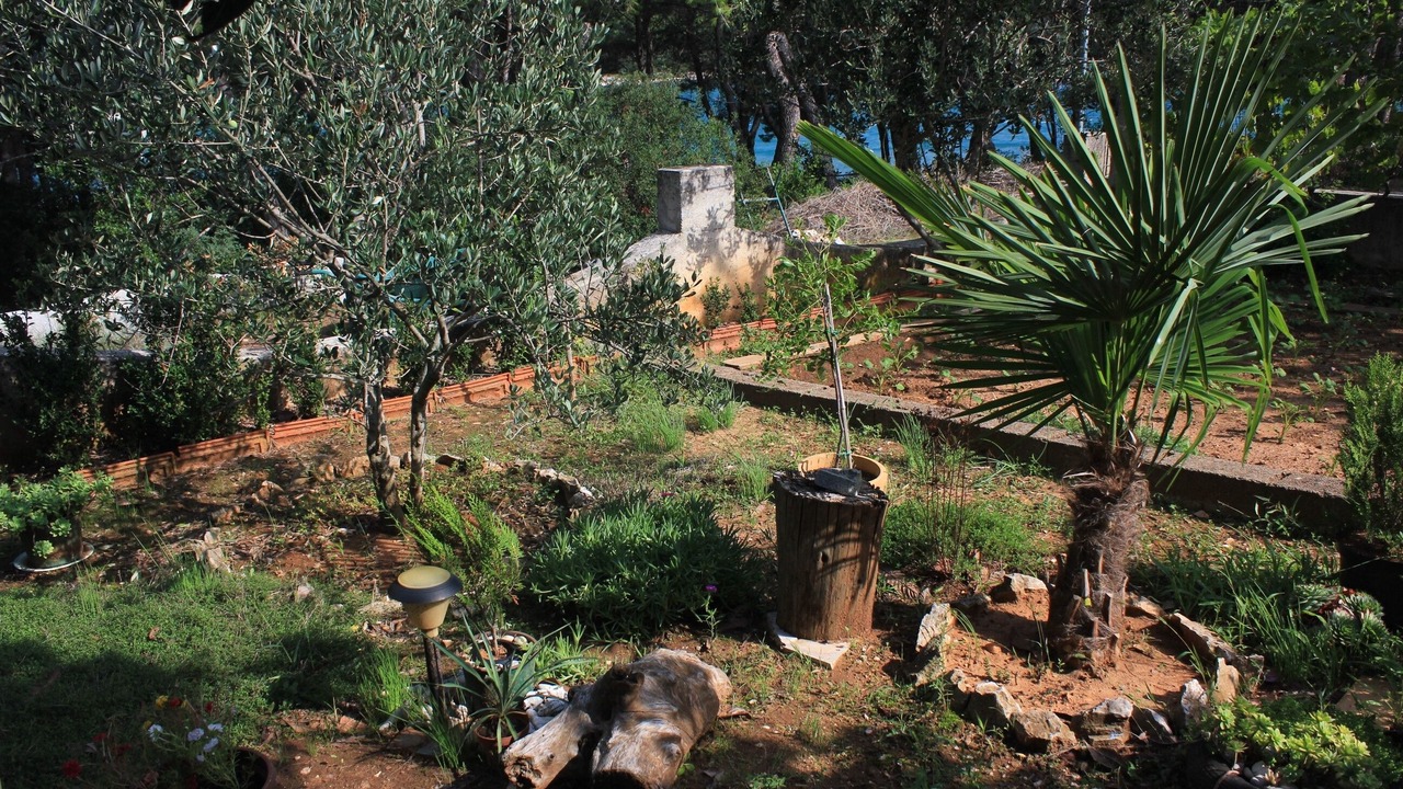 Photo of Outdoor in Kali