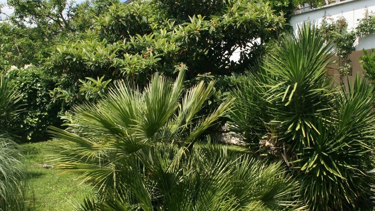 Photo of Outdoor in Dramalj