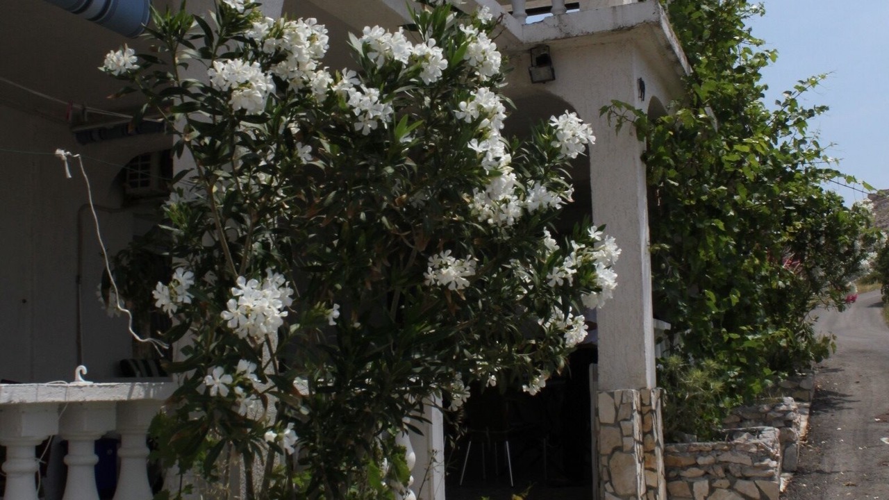 Photo of Outdoor in Metajna