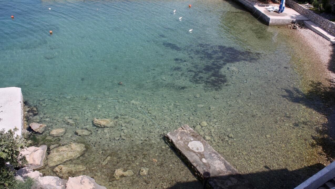 Photo of Others in Supetarska Draga