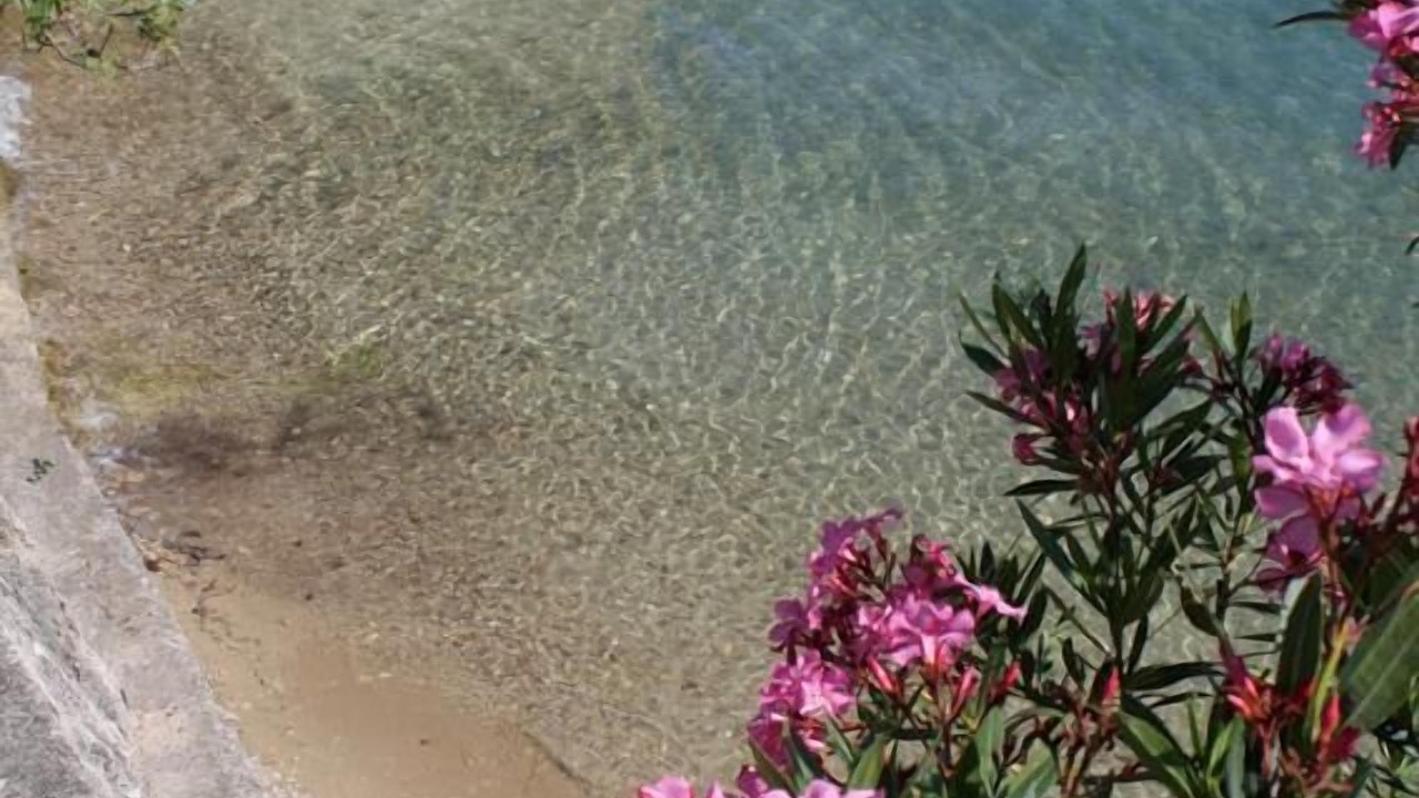 Photo of Others in Supetarska Draga