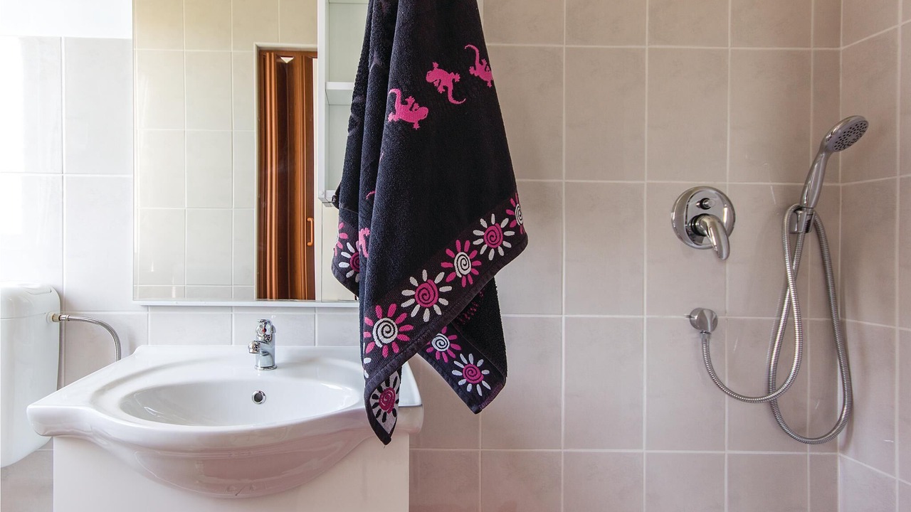 Photo of Bathroom in Medulin