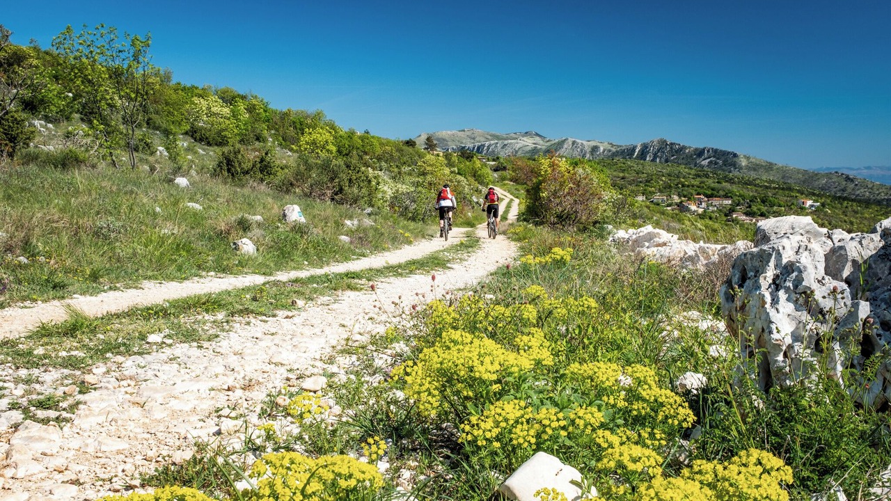 Photo of Others in Rabac